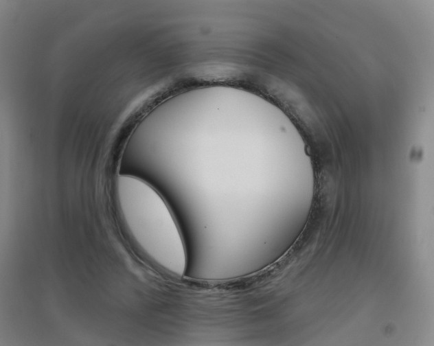 X0000094460400200711081104