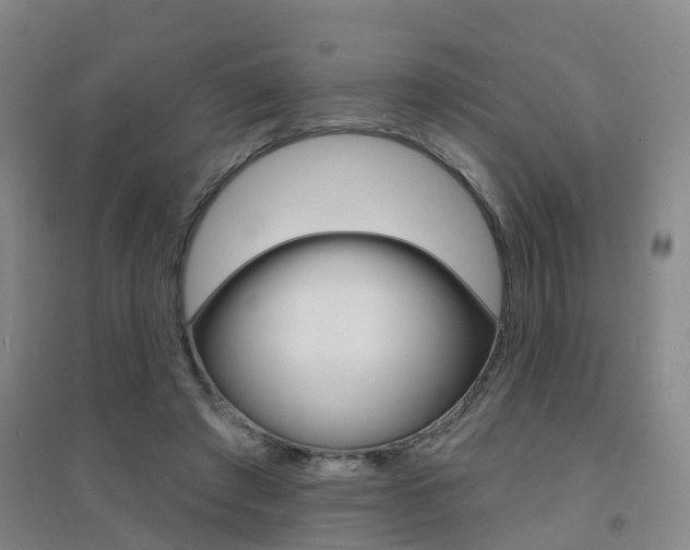 X0000094460401200711081104