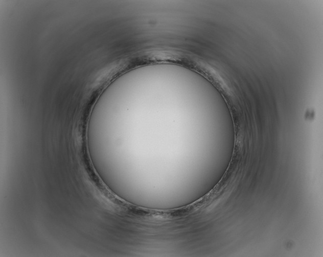 X0000094460402200711081104