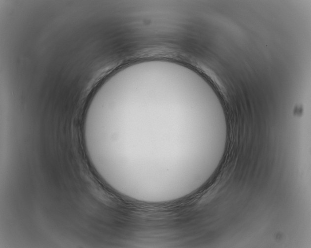 X0000094460403200711081104