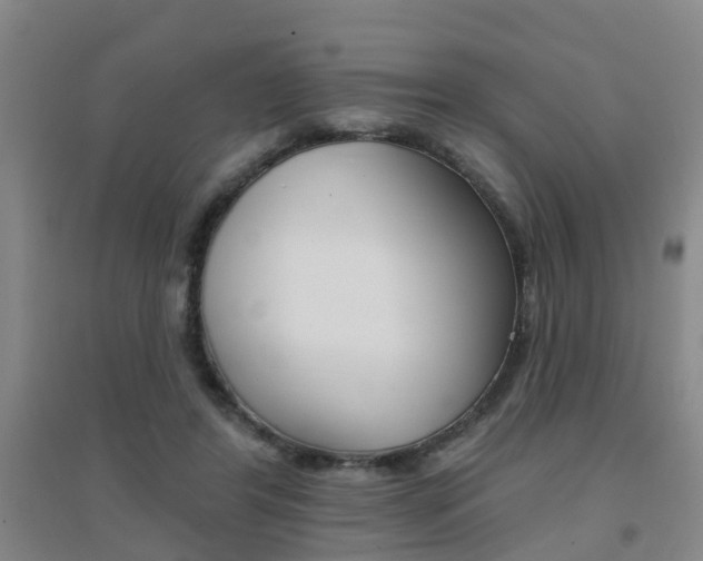 X0000094460404200711081103