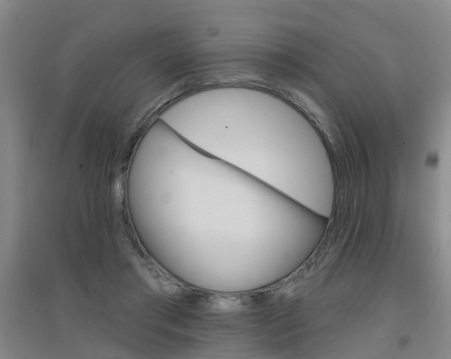 X0000094460405200711081103