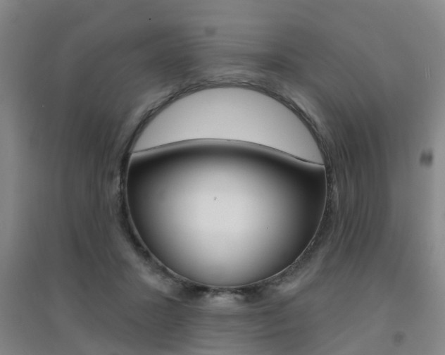 X0000094460407200711081103