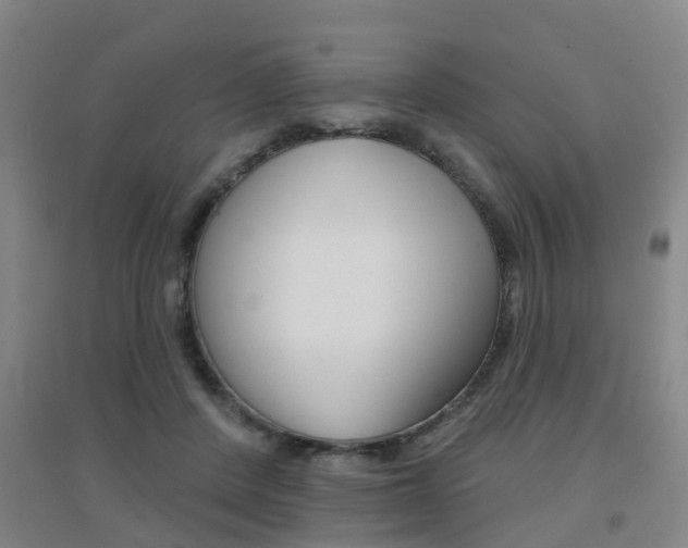 X0000094460408200711081103
