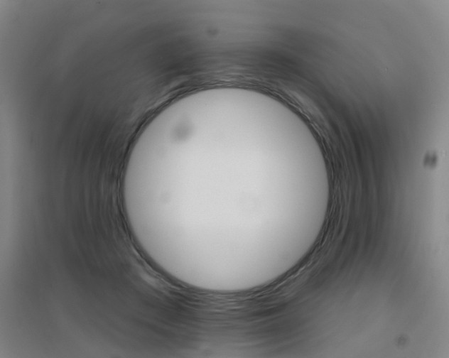 X0000094460409200711081103