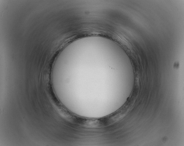 X0000094460410200711081103