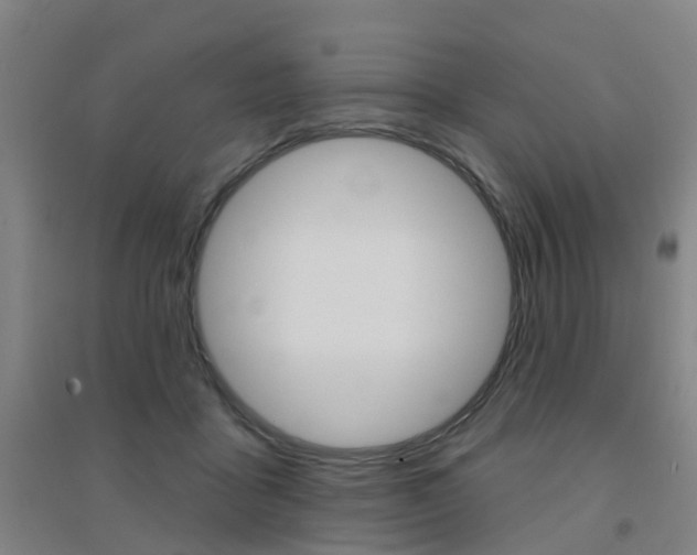 X0000094460411200711081103