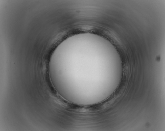 X0000094460412200711081103