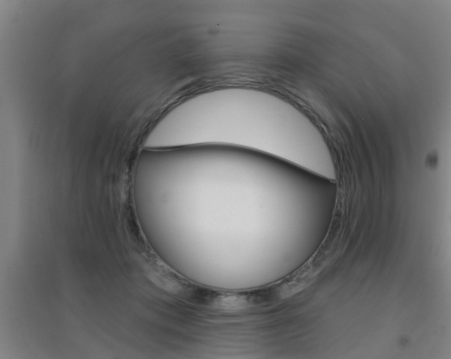 X0000094460413200711081103