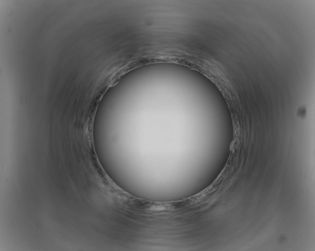 X0000094460415200711081103