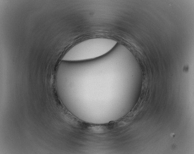 X0000094460417200711081103