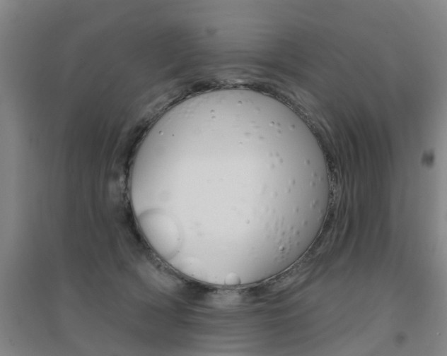 X0000094460418200711081103