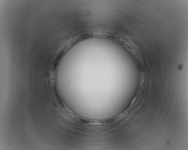 X0000094460419200711081103