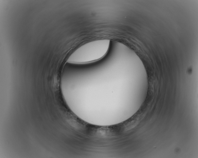 X0000094460420200711081103