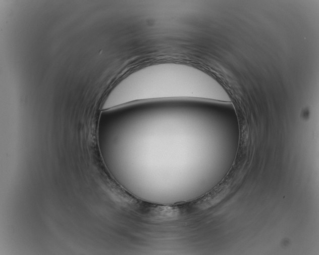 X0000094460421200711081103