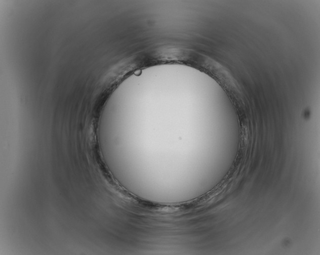 X0000094460422200711081103