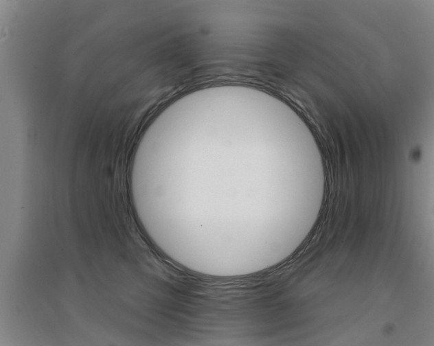 X0000094460423200711081103