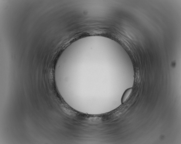 X0000094460426200711081103