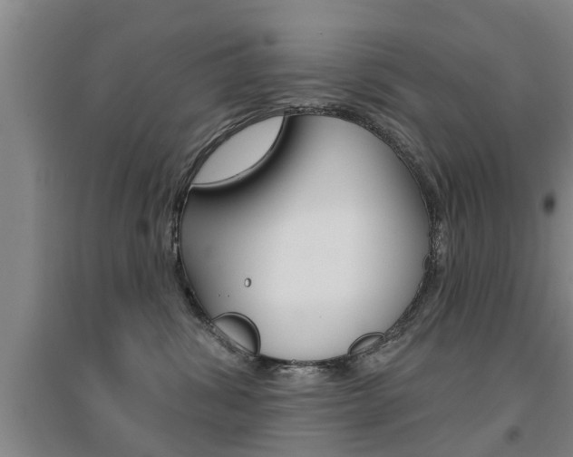 X0000094460428200711081103