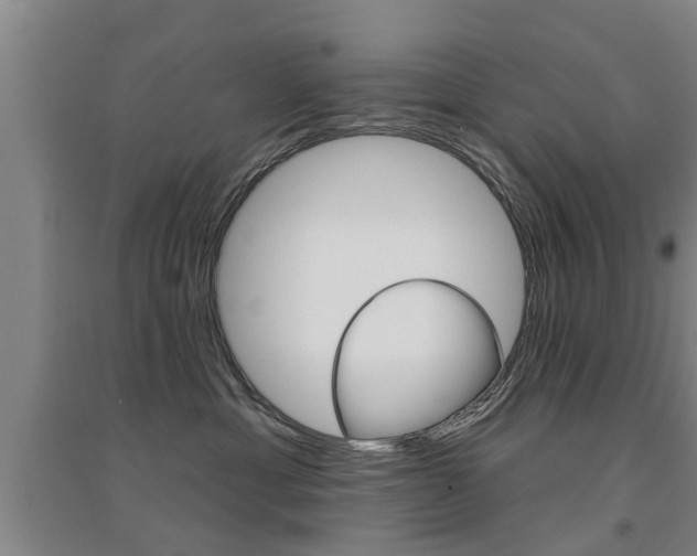 X0000094460429200711081103