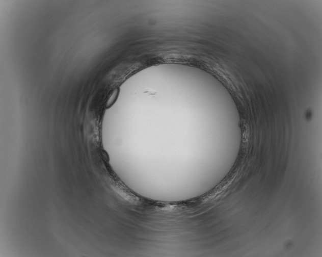 X0000094460430200711081103