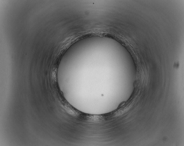 X0000094460432200711081103