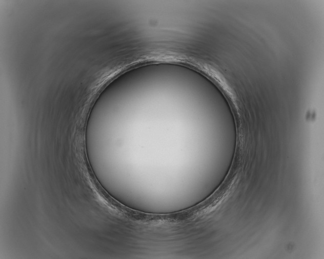 X0000094460433200711081102