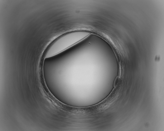 X0000094460435200711081102