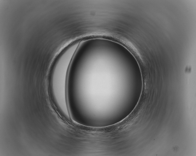X0000094460436200711081102