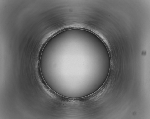 X0000094460437200711081102