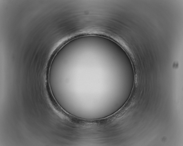 X0000094460438200711081102