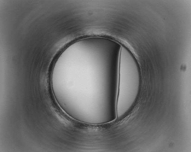 X0000094460439200711081102