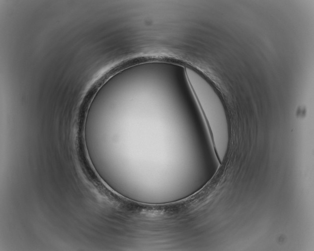 X0000094460440200711081102