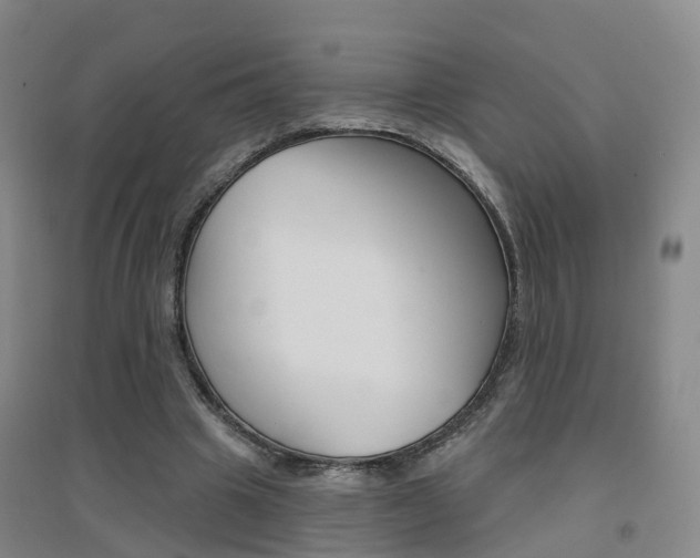 X0000094460441200711081102