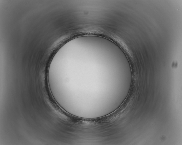 X0000094460442200711081102