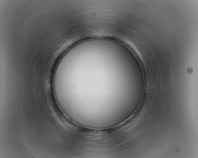 X0000094460443200711081102