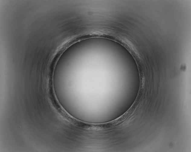 X0000094460444200711081102
