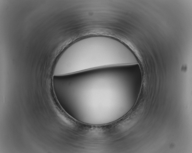 X0000094460445200711081102