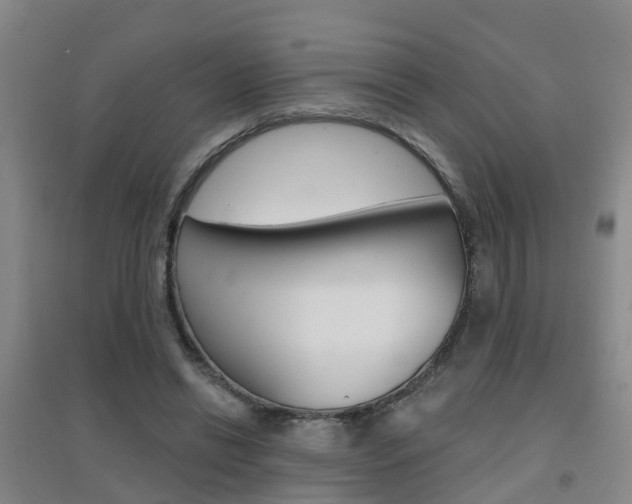 X0000094460446200711081102