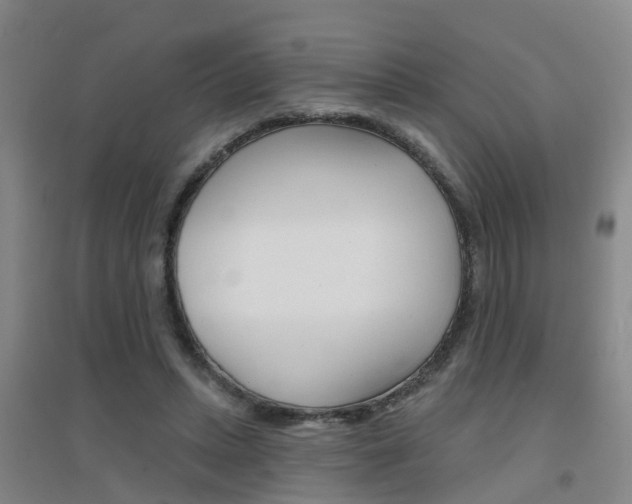 X0000094460447200711081102