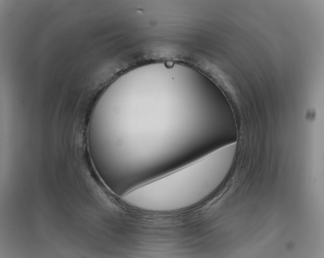 X0000094460449200711081102