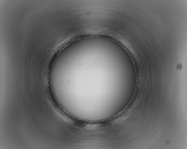 X0000094460450200711081103