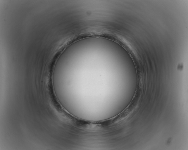 X0000094460451200711081103