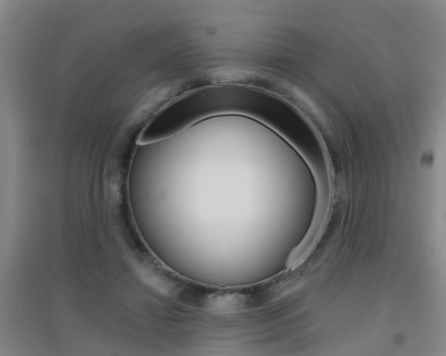 X0000094460452200711081103