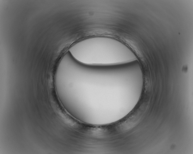 X0000094460453200711081103