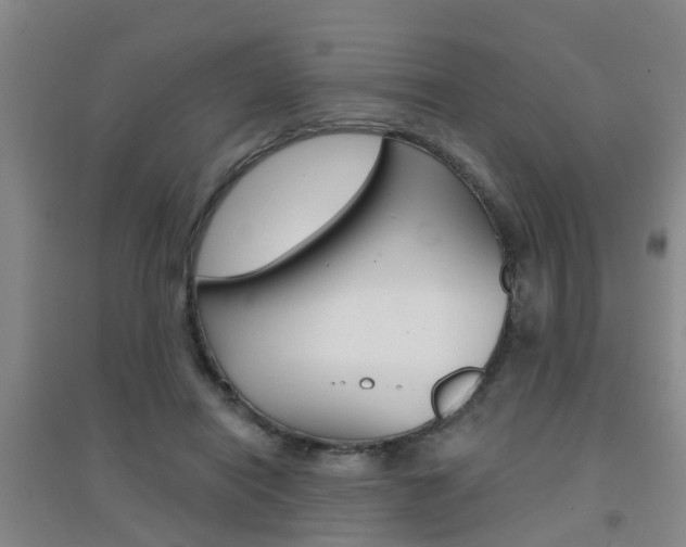 X0000094460454200711081103