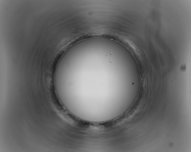 X0000094460455200711081103