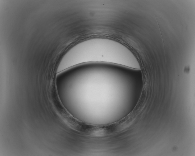 X0000094460456200711081103