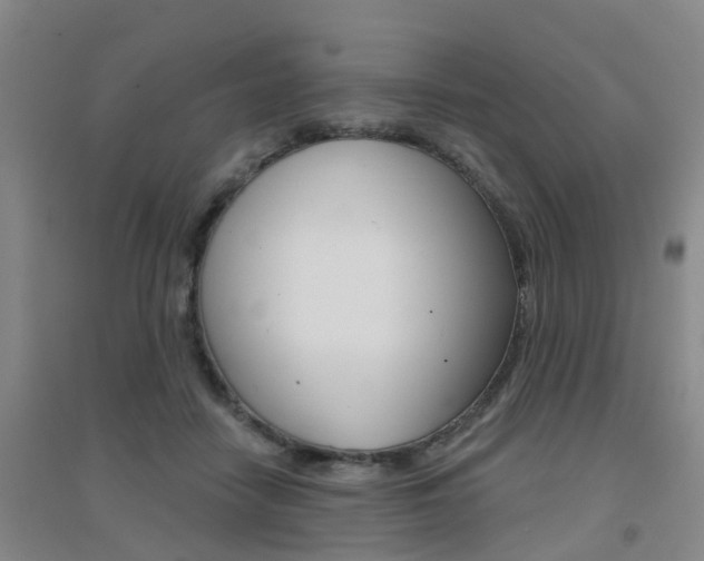 X0000094460458200711081103
