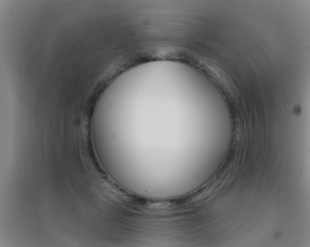 X0000094460461200711081103